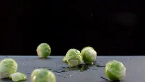 Foto van wat kleine natte rouwe spruitjes die op een tafel liggen.