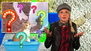 Foto van presentator die staat bij een kat die op een kattenbak zit en ingemonteerd foto met 2 poten van een kat en aantal vraagtekens erop.