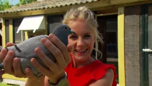 Foto van presentator die een grijze duif, een sportduif, vasthoudt buiten.