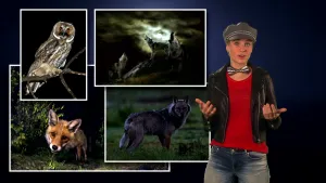 Foto van presentator die in donkere ruimte staat, naast haar vier foto's: met een uil, de maan, vos, wolf.