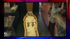 Foto van een mummie in een museumruimte.