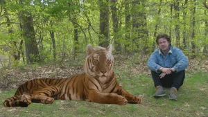 foto van een tijger die op de grond ligt, ernaast zit op de grond presentator, in het bos.