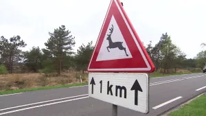 Foto van een verkeersbord langs snelweg dat waarschuwt voor overstekend wild, driehoekig bord waarop een hert staat.