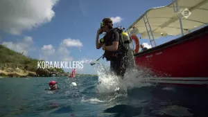 Foto van de zee en de kust en duikers die vanaf een boot het water in springen, erbij de tekst "koraalkillers".