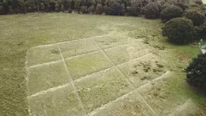 Foto van boerenlandschap in de ijzertijd, je ziet groot grasveld met ruiten erin, ginds bosrand, van bovenaf gezien.