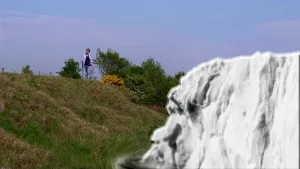 Het ontstaan van het IJsselmeergebied