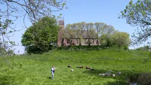 Foto van een terp met bomen gegroeid en een kerkje erop, ervoor in het gras staat presentator bij aantal schapen.
