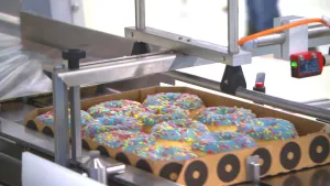 Foto van lopende band in een fabriek waarover een platte doos met negen donuts erin gaat.