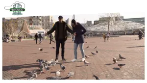 Foto van twee personen op een plein in de stad met allemaal stadsduiven rondom hen die over de grond lopen.
