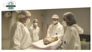 Foto van aantal personen met werkkleding, operatiekleding, aan rondom een aap onder narcose dat wordt onderzocht.