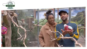 Foto van man en vrouw in vogelverblijf van een dierentuin, ze staan bij een exotische rood met witte vogel.