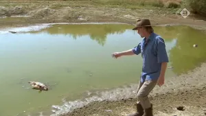 Foto van een ven in de natuur waarin een grote dode vis ligt, op de oever staat een man die daarnaar wijst.