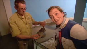 Evolutie begon met eencelligen