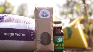 Foto van een zak waarop staat "mega worm", een pakje met daarin wormenpoep, nog een glaze potje met saus.