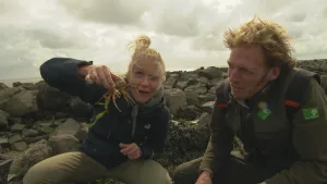 Foto van man en vrouw die langs keienstrand op de hurken zitten, zij houdt een levende kreeft vast.