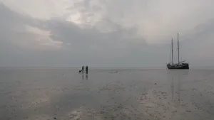 Foto van deel van het wad in de Waddenzee, er lopen twee personen met een hond, er ligt een zeilboot.