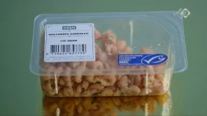 Foto van doorzichtig plastic bakje met daarin (Hollandse) garnaaltjes.
