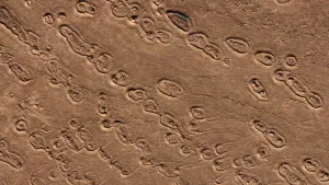 Foto genomen boven het oppervlak van Mars waarop diverse structuren te zien zijn zoals ovale vormpjes en lijntjes.