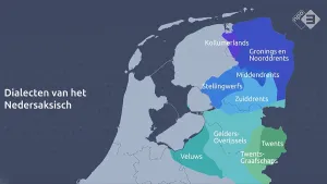 Nedersaksisch, geen dialect maar een taal
