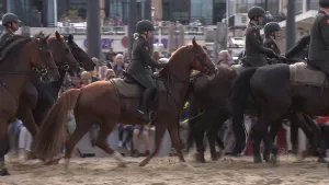Foto van groot aantal paarden met ruiters erop die in een rij rijden over zand.
