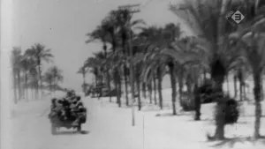 Oude zwart/wit foto vanuit de Zesdaagse Oorlog waarop weg met palmbomen waarover legervoertuig rijdt.