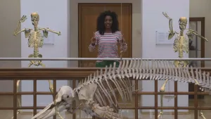 Foto van presentator in museum met meerdere skeletten: twee van een mens, één van een dier.
