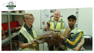 Foto van drie mensen binnen met werkkleding aan houden een reuzenschildpad vast.