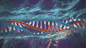 Schematische tekening van deel van een DNA-molecuul, met verschillende kleuren.