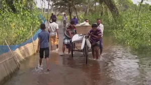 Foto van een ondergelopen, overstoomde weg/pad met mensen en een bakfiets die er doorheen lopen, te Bangladesh.