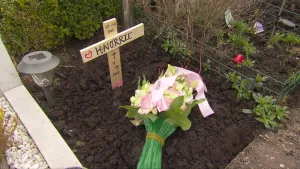 Foto van een klein graf van een dier, in de aarde een houten kruisje en er ligt een bos bloemen bij.