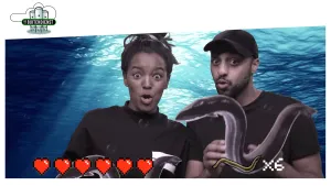 Foto van man en vrouw met op achtergrond foto van onderwater waarin de zon schijnt, voor hen afbeelding van een paling.