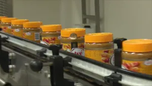 Foto van rij pindakaaspotten op de lopende band in fabriek, de potten zijn al gevuld, dichtgemaakt en etiket erop.