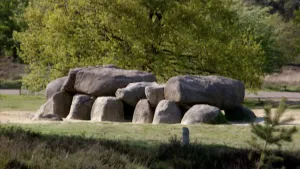 Foto van een hunebed op grasveld in het bos.
