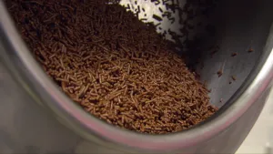 Foto, close-up, van glanzende hagelslagjes, hageltjes van chocola in een bus/pot.