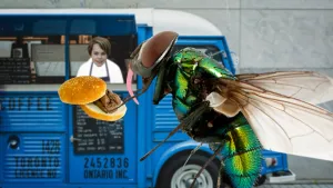 Foto van een bestelbusje dat eten (hamburgers) verkoopt met verkoper, op voorgrond zie je een grote groene vlieg close-up die van een hamburger eet.