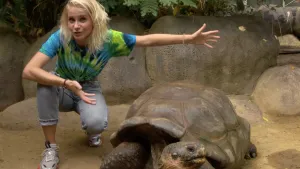 Foto van een presentator die gehurkt zit bij een reuzenschildpad in de dierentuin.