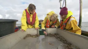 Foto gemaakt op het dek van een (vissers)boot met drie personen in werkkleding die vissen bekijken in een bak met water.