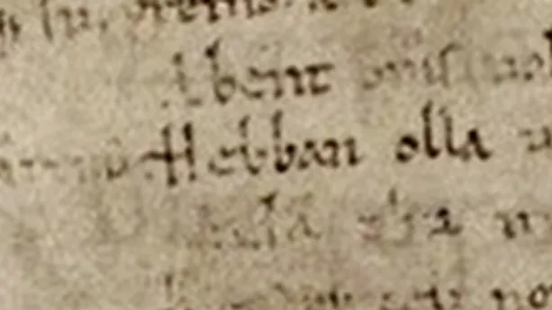 Foto van een oude pagina met ouderwets handschrift erop.