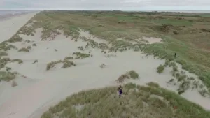Foto van vrij hoog af van duinstrook langs het strand te Ameland. Hier en daar staat een persoon.
