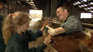 Foto van een meisje en veearts in een grote koeienstal bij een koe.