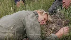 Foto van presentator die ligt op de grond en een vogelnest op de grond in het gras bekijkt.