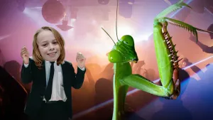 Foto van een groene bidsprinkhaan op de voorgrond, de kop en voorpoten, erbij een meisje dat ernaar kijkt.