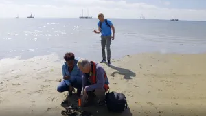 Foto van aantal mannen die iets op het strand van Terschelling bekijken.