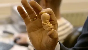 Foto van een hand die een klein beeldje van een nog niet geboren baby vasthoudt.