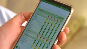 Foto van een hand die een smartphone, mobieltje, vasthoudt met op het scherm een tabel.