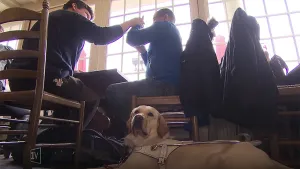 Foto van leerlingen die in de klas zitten en één van hen heeft een blindengeleidehond/hulphond bij zich.