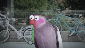 Een foto van een grijze valkparkiet met een kuifje. Voor de ogen staan ronde, witte ogen met scheelkijkende zwarte oogbolletjes. Uit de snavel hangt een getekende, groene snottebel en de wangen zijn paars gemaakt en niet geel met oranje, zoals normaal.