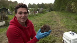 Een foto van een man die een egel in zijn handen heeft en die laat zien aan de camera. Op de achtergrond staat er een reismand en zijn er moestuinen en een bosrand te zien.