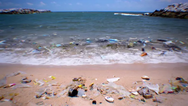 Hoe komen we af van het plastic in de zee? | Schooltv
