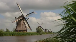 Een foto van vijf bruine molens op groen gras aan het water. De molens hebben allemaal vier wieken die zwart zijn en bij twee van de wieken zit er een witachtig doek op. In de lucht hangen wolken, de kleinere witter van kleur en één grote, grijze wolk.